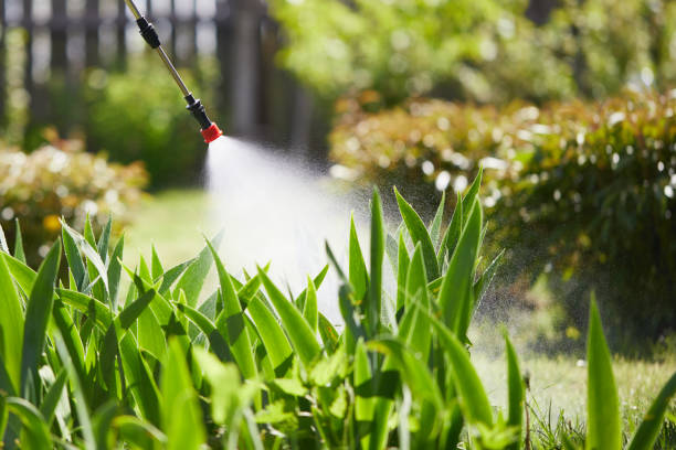 24/7 Emergency Wasp Removal experts in Slinger, WI