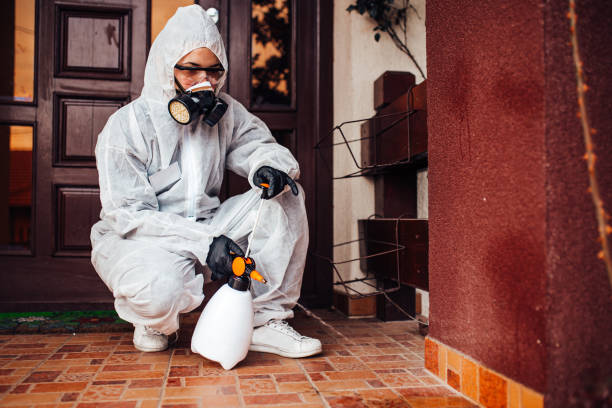 Reliable Wasp Removal contractor in Slinger, WI by Show Me Pest Control